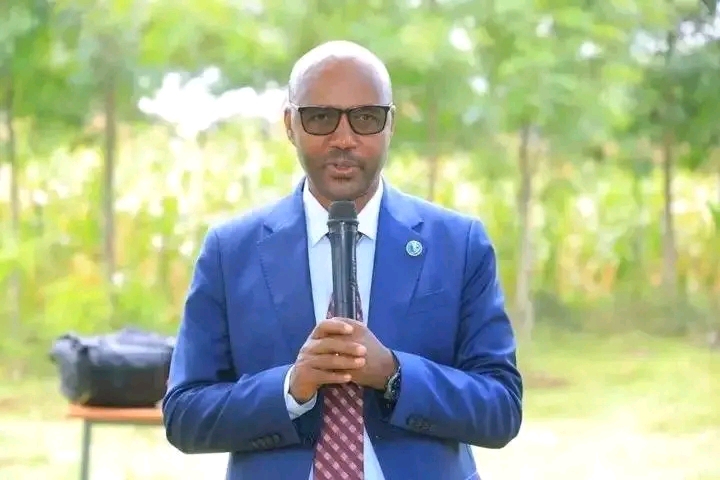 Ga'a Gobba Ragidhanno Ilama Rosu Uduunne Hoogge Rosu Gobbaanni Ikkitannokki Gede Baalunku Qeechasi Fula Hasiissanno kalaa Beyyene Baraasa