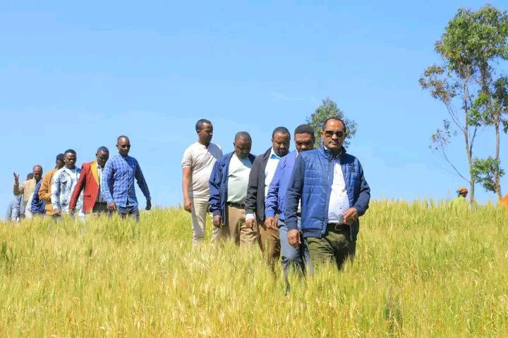 ምርትና ምርታማነትን ለማረጋገጥ በክልሉ እየተሰሩ ያሉ ሰራዎች ዘርፈ ብዙ እንደሆኑ የሲዳማ ክልል ርዕስ መስተዳድር አቶ ደስታ ሌዳሞ ገለፁ። 